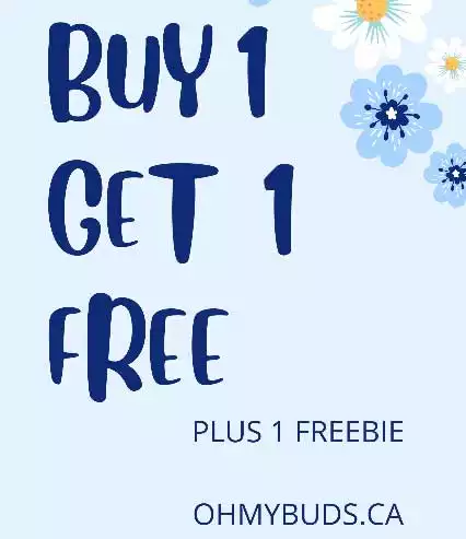 Top Deals - Potrider