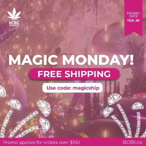 Top Deals - Potrider