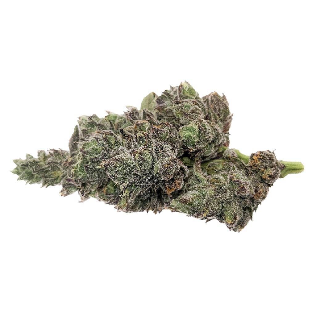 Gelatto 33 x Tropicana Cookies- MSIKU - Gelatto 33 x Tropicana Cookies 3.5g Dried Flower