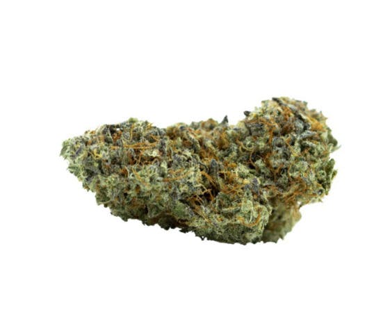 Carmel - Billy's Pheno