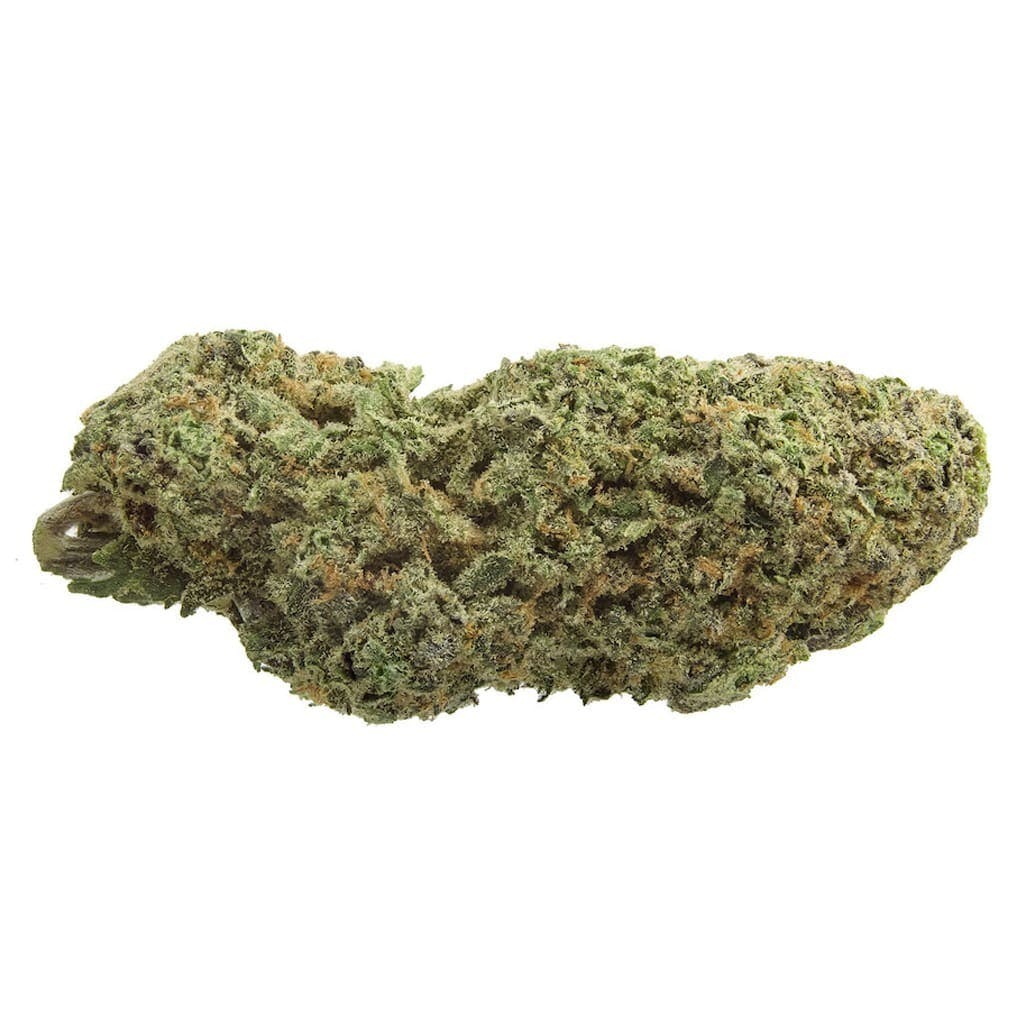 1964 Organic Sour Cookies - 14G