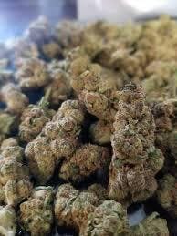 Back Forty - Wedding Pie - Indica - 3.5g