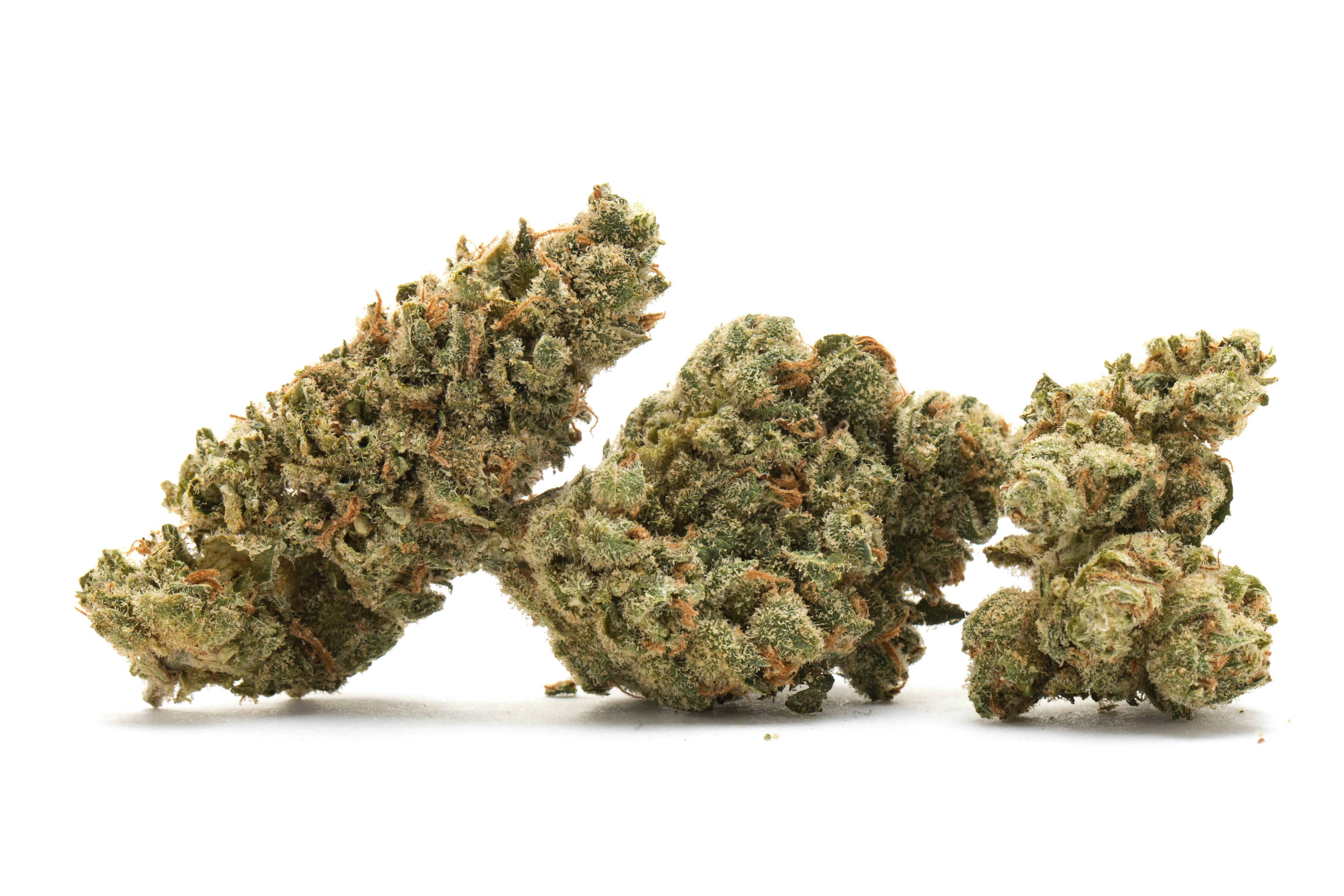 Black Cherry Punch | 28g