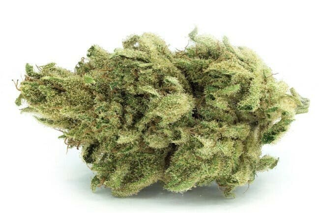 Tantalus Labs Cannatonic 3.5