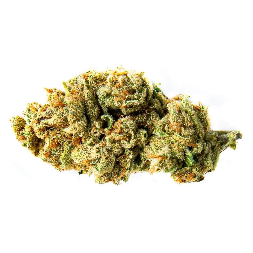 Black Sugar Rose 3.5g Dried Flower - Black Sugar Rose 3.5g Dried Flower