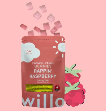 WILLO GUMMIES RAPPIN RASPBERRY